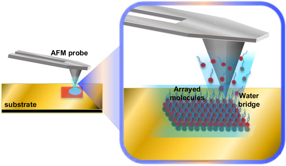 Figure 6
Working principle of DPN.