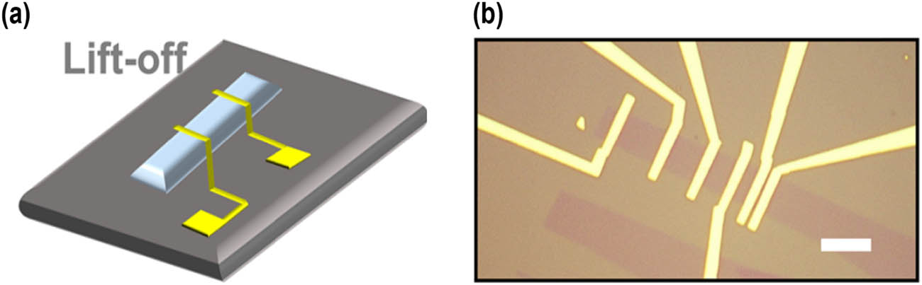 Figure 9 
                  (a) The optical image of the graphene-based FETs, reproduced with permission from Ref. [127], Copyright © 2021, Liu et al. (b) The optical image of a backgated graphene device after lift-off, reproduced with permission from Ref. [127], Copyright © 2021, Liu et al.
               