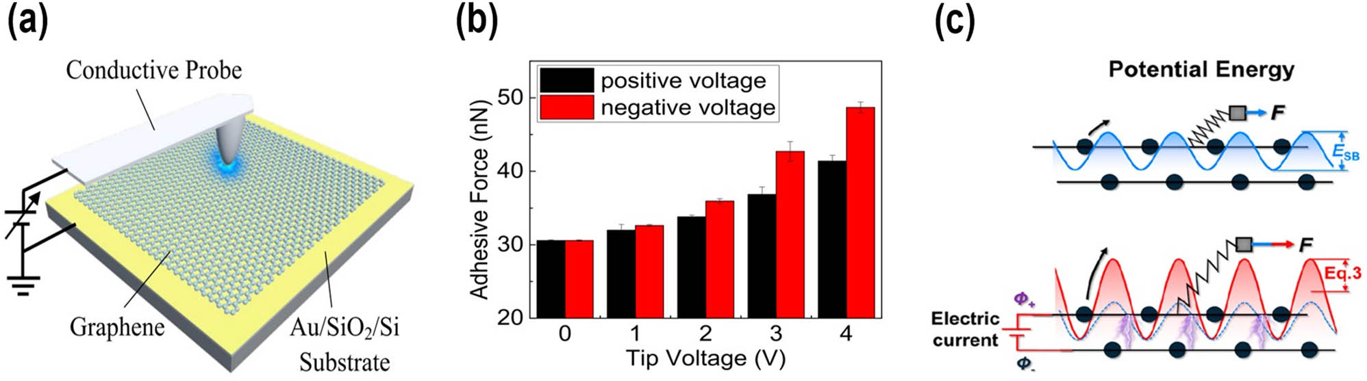 Figure 11 
                  (a) Schematic of current-carrying friction measurements, reproduced with permission from Ref. [136], Copyright ©2020, American Chemical Society. (b) Adhesion at different tip voltages to show the difference in adhesion at positive and negative bias voltages, reproduced with permission from Ref. [136], Copyright ©2020, American Chemical Society. (c) Schematics of the electronic property fluctuation model, reproduced with permission from Ref. [139], Copyright © 2022, American Chemical Society.
               