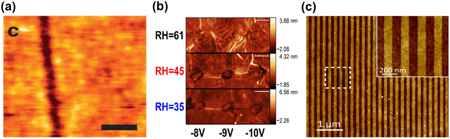 Figure 12 
                  (a) AFM topography of nanoribbons, reproduced with permission from Ref. [141], Copyright © 2012, Zhang et al. (b) Topographical mapping of the area at different voltages and humidities, reproduced with permission from Ref. [142], Copyright © 2019, American Chemical Society. (c) An AFM image of a GNR array prepared by EFLAO, reproduced with permission from Ref. [56], Copyright © 2018, American Chemical Society.
               