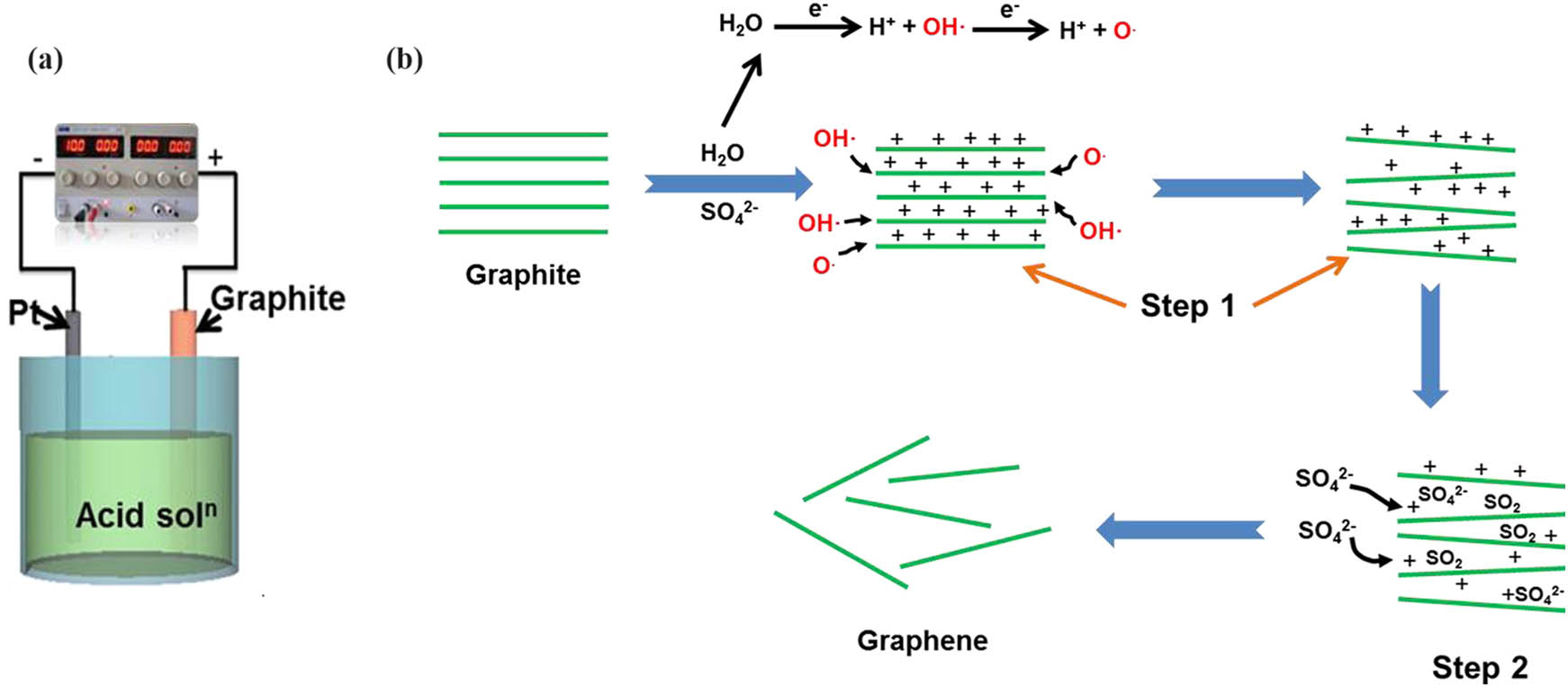 Figure 4 
                        Schematic illustration of (a) electrochemical exfoliation of graphite and (b) mechanism of electrochemical exfoliation. Reproduced with permission from Ref. [98].
                     