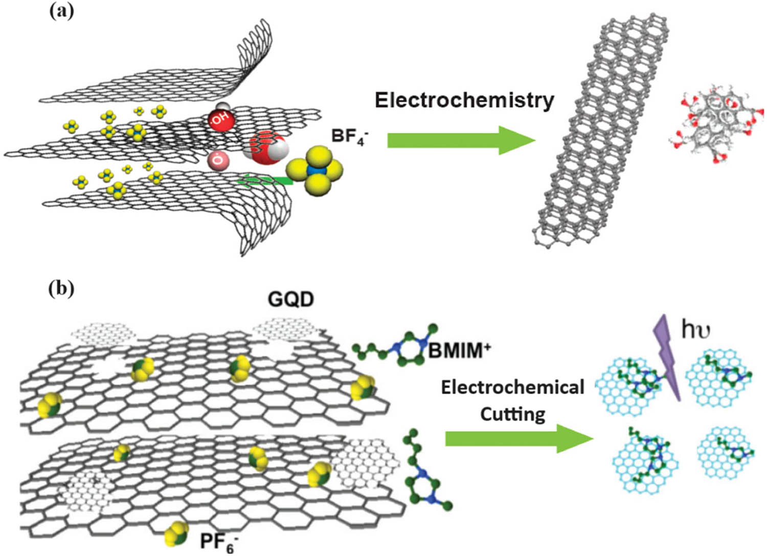 Figure 8 
                        Schematic representation of the preparation route for green-luminescent GQDs and blue-luminescent GQDs. (a) Exfoliation process showing the attack on the graphite edge planes by hydroxyl and oxygen radicals, and intercalation of BF4 anion [122]. (b) Schematic illustration of GQD synthesis from 3D G [124]. Adapted with permission from Refs [122 and 124].
                     
