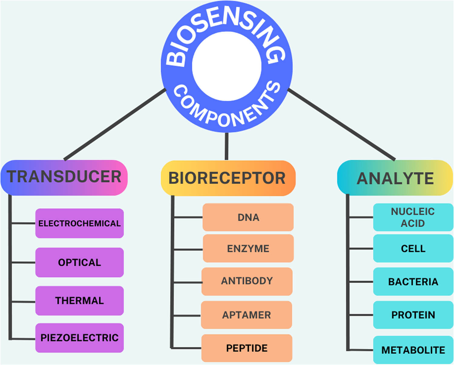 Figure 11 
                     Biosensors and components on a biosensing platform.