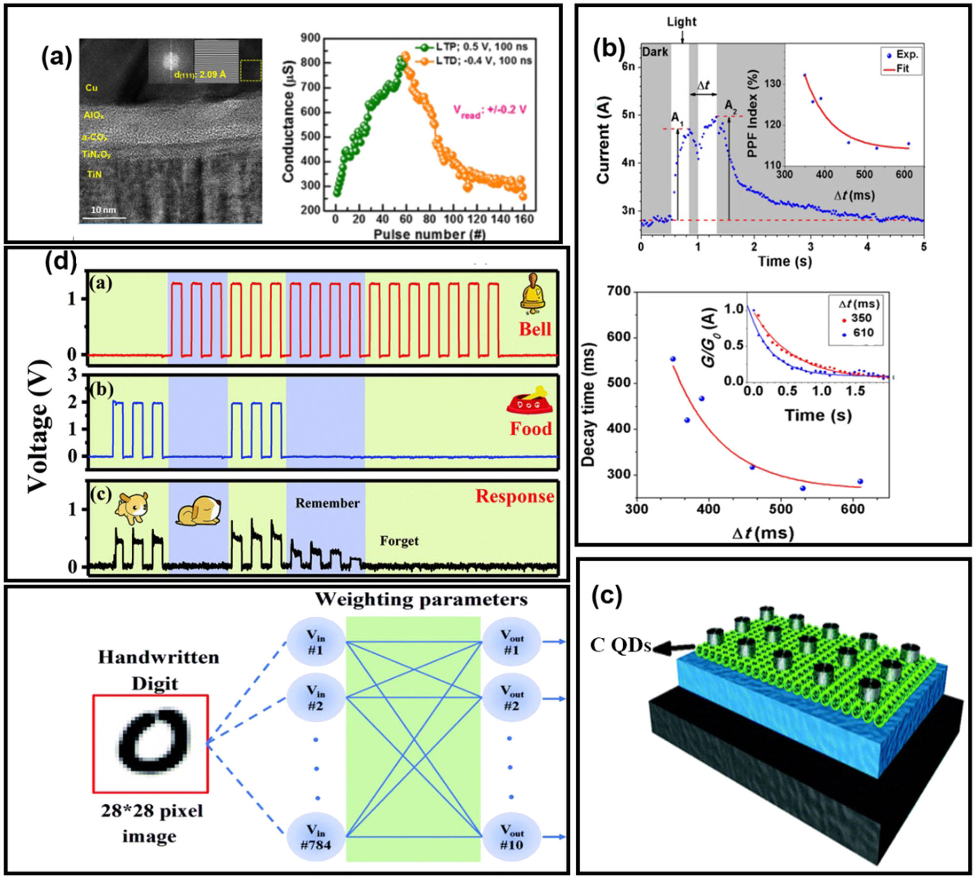 Figure 11 
               (a) HAADF image of the Cu/AlO
                     x
                  /a-CO
                     x
                  /TiN
                     X
                  O
                     y
                  /TiN structure (left) and its LTP and LTD characteristics (right), (b) imitations of PPF (top) and STDP (bottom) mechanisms using the proposed light-gated a-C memristor, (c) schematic of CQD memristor device, and (d) experimental results of associative learning and forget relation (top) and designed neural network for hand-written digit recognition (bottom), realized by the CQD memristor device. (a) and (b) are reprinted with permissions from [94,95], respectively, while (c) and (d) are reprinted with permissions from [97].
            