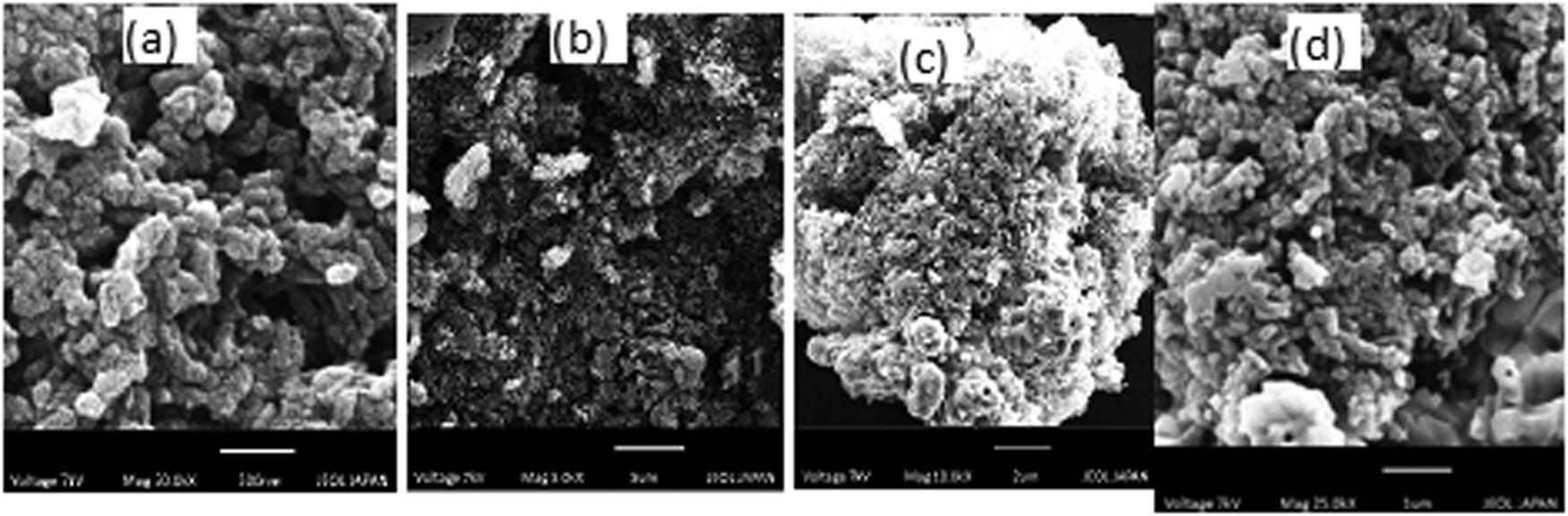Figure 2 
                  SEM images of ZnO NPs: (a) 500 nm, (b) 5 µm, (c) 2 µm, and (d) 1 µm.
               