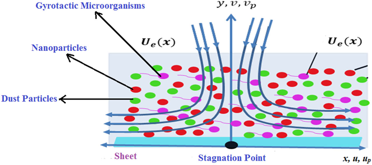 Figure 1 
               Problem description.
            