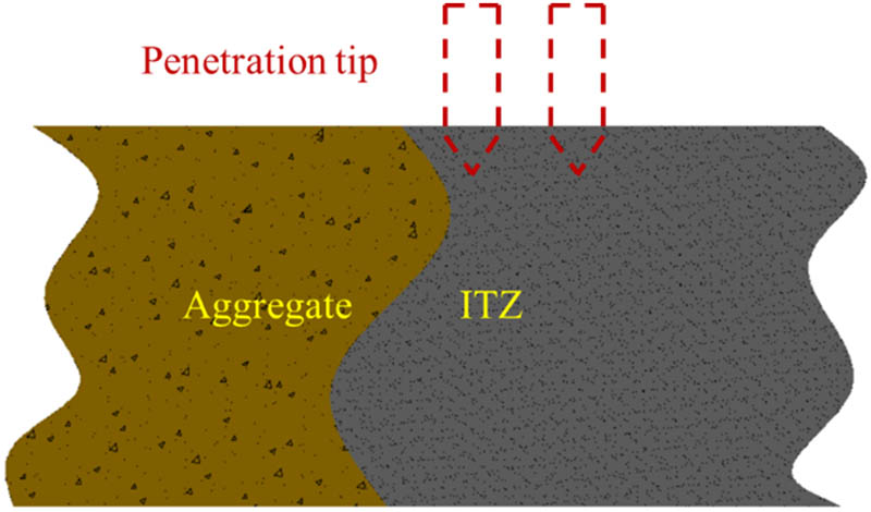 Figure 4 
                  Penetration in ITZ.
               