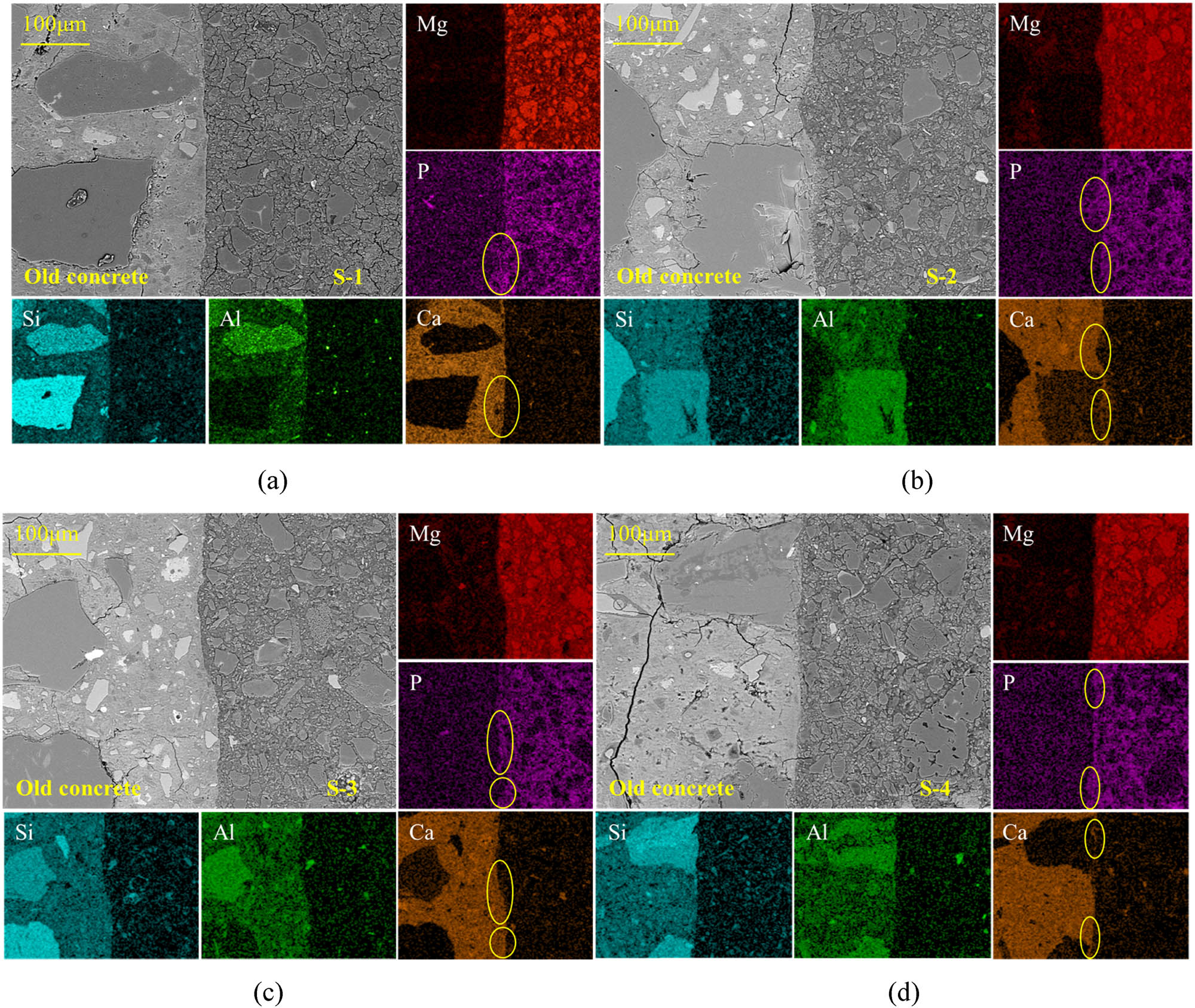 Figure 10 
                  Typical BSE photographs and element distributions for the bonding interface in (a) MD-1-N, (b) MD-2-P, (c) MD-3-P, and (d) MD-4-N.
               
