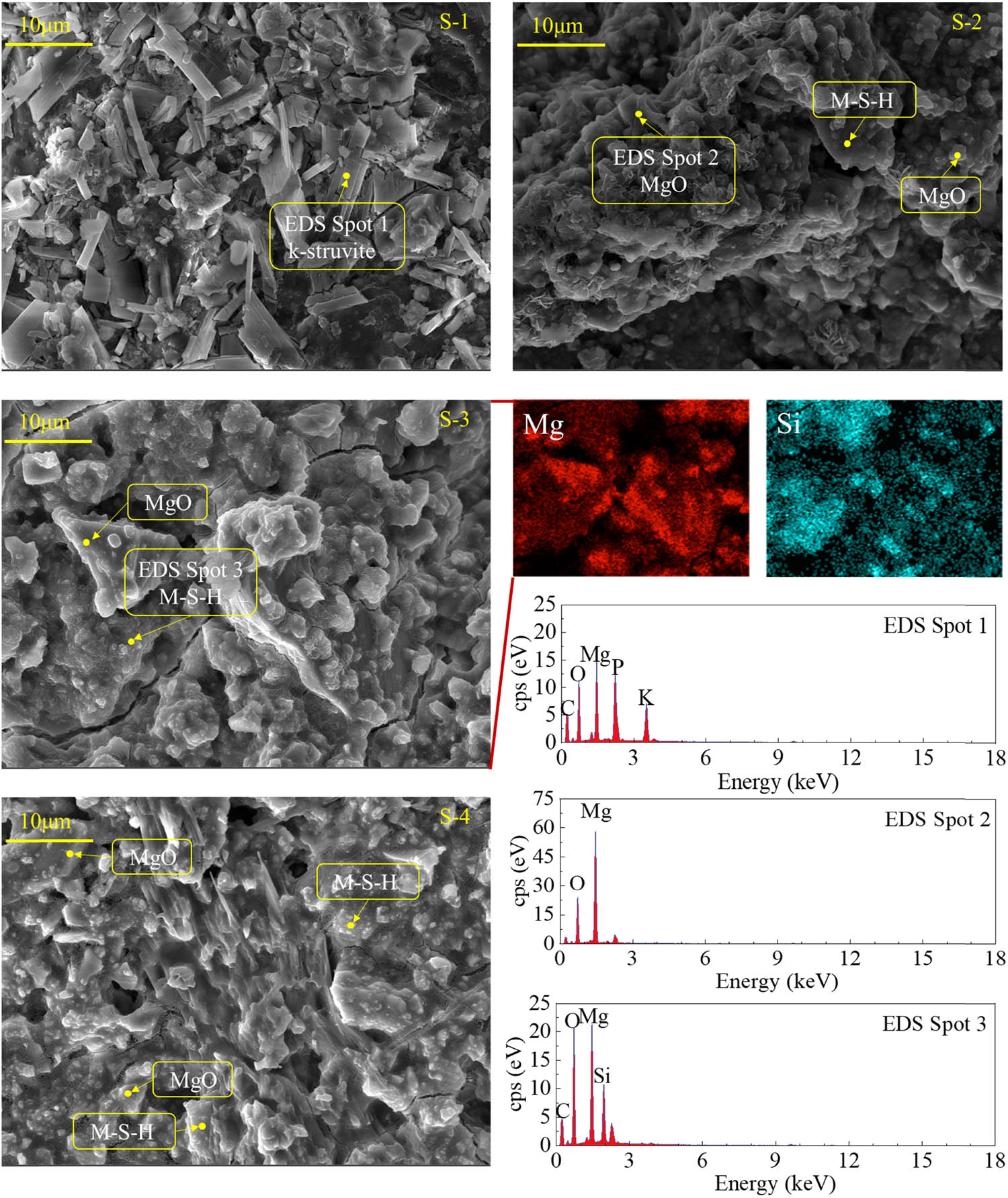 Figure 16 
                  Micro-morphologies and elemental analyses of hardened NS + MKPC pastes with varying NS dosages.
               