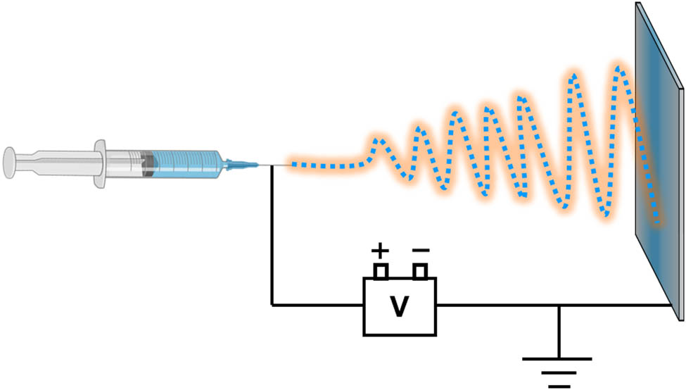 Figure 2 
                  Diagram schematic of electrospinning device.
               