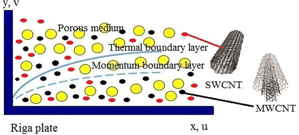Figure 1 
               Physical sketch of the model.
            