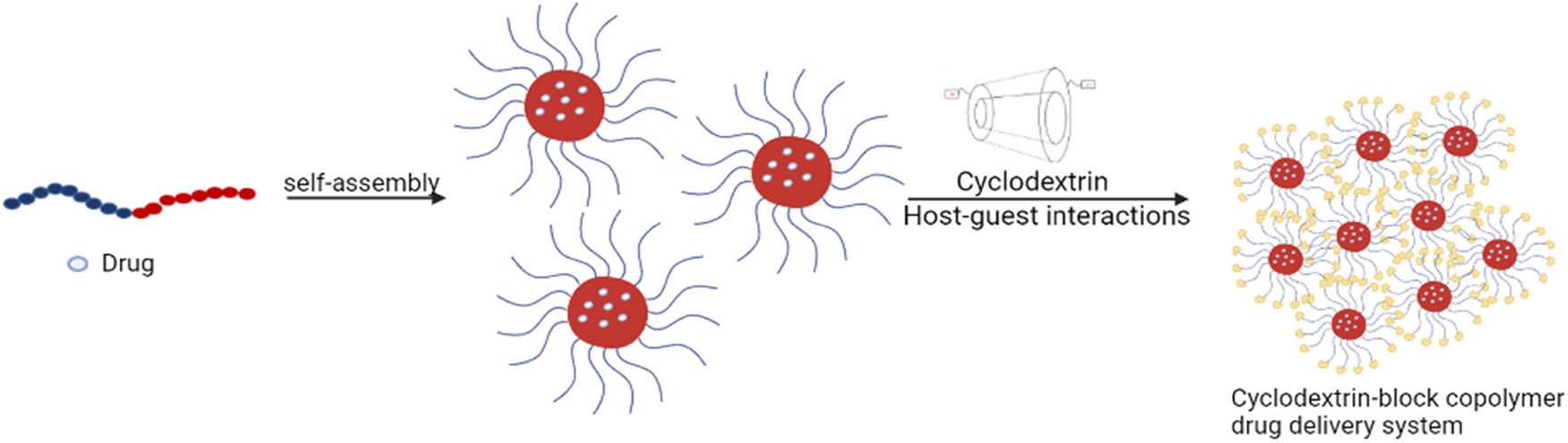 Figure 4
Illustration of a drug delivery system formed after the combination of CDs with block copolymers.