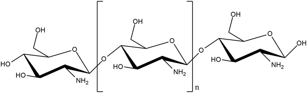Figure 4 
                  Chemical structure of chitosan.
               