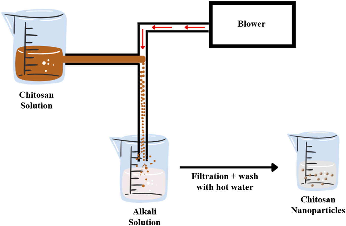 Figure 6 
                  Schematic presentation of the coacervation separation process.
               