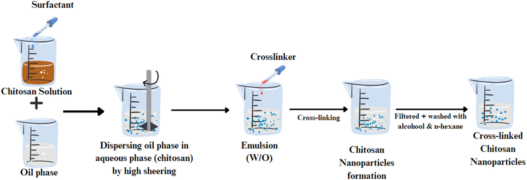 Figure 7 
                  Schematic presentation of the emulsion crosslinking process.
               