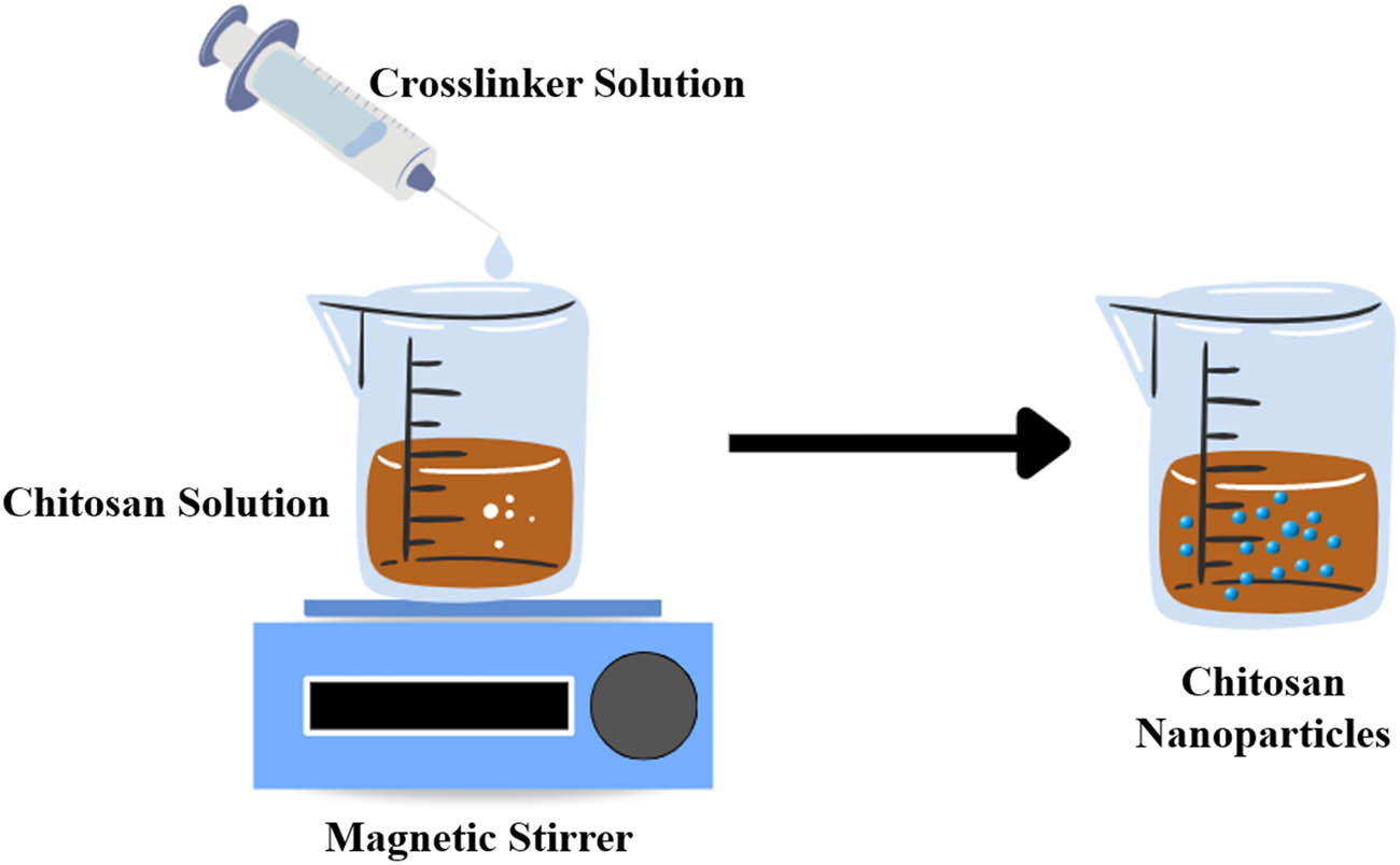 Figure 8 
                  Schematic presentation of the ionic gelation process.
               