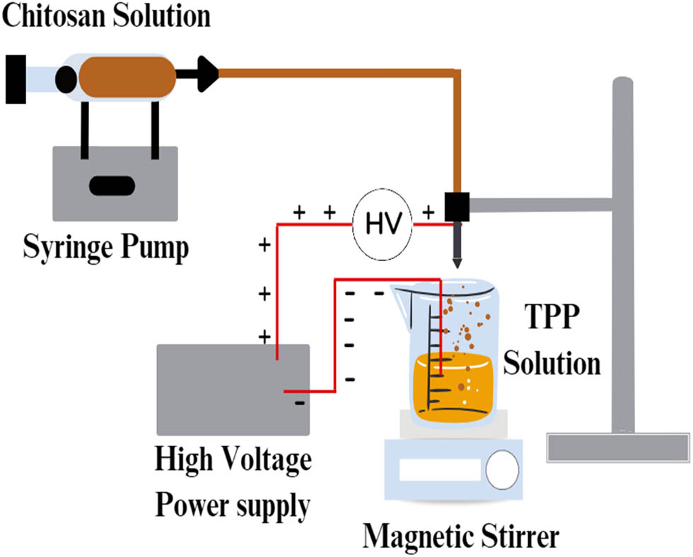 Figure 9 
                  Schematic presentation of electrospray process.
               