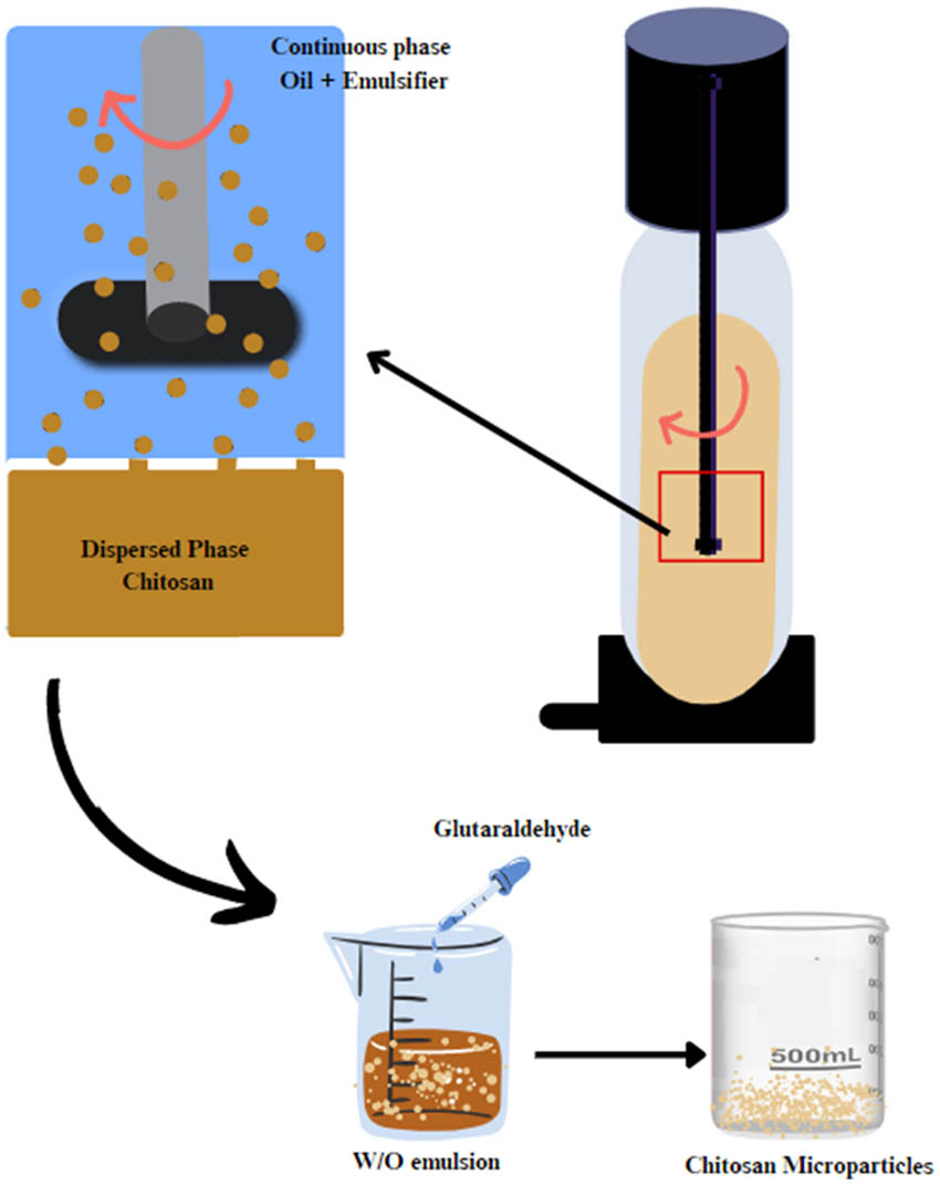 Figure 10 
                  Schematic representation of the membrane emulsification process.
               