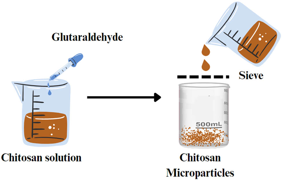 Figure 13 
                  Schematic representation of the sieving method.
               