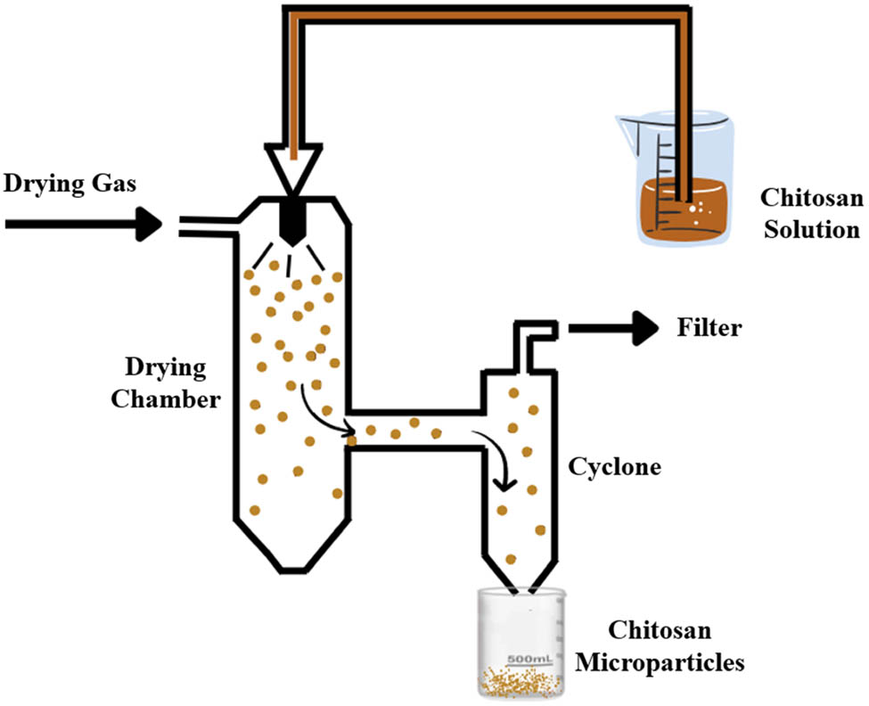 Figure 14 
                  Schematic representation of spray drying method.
               