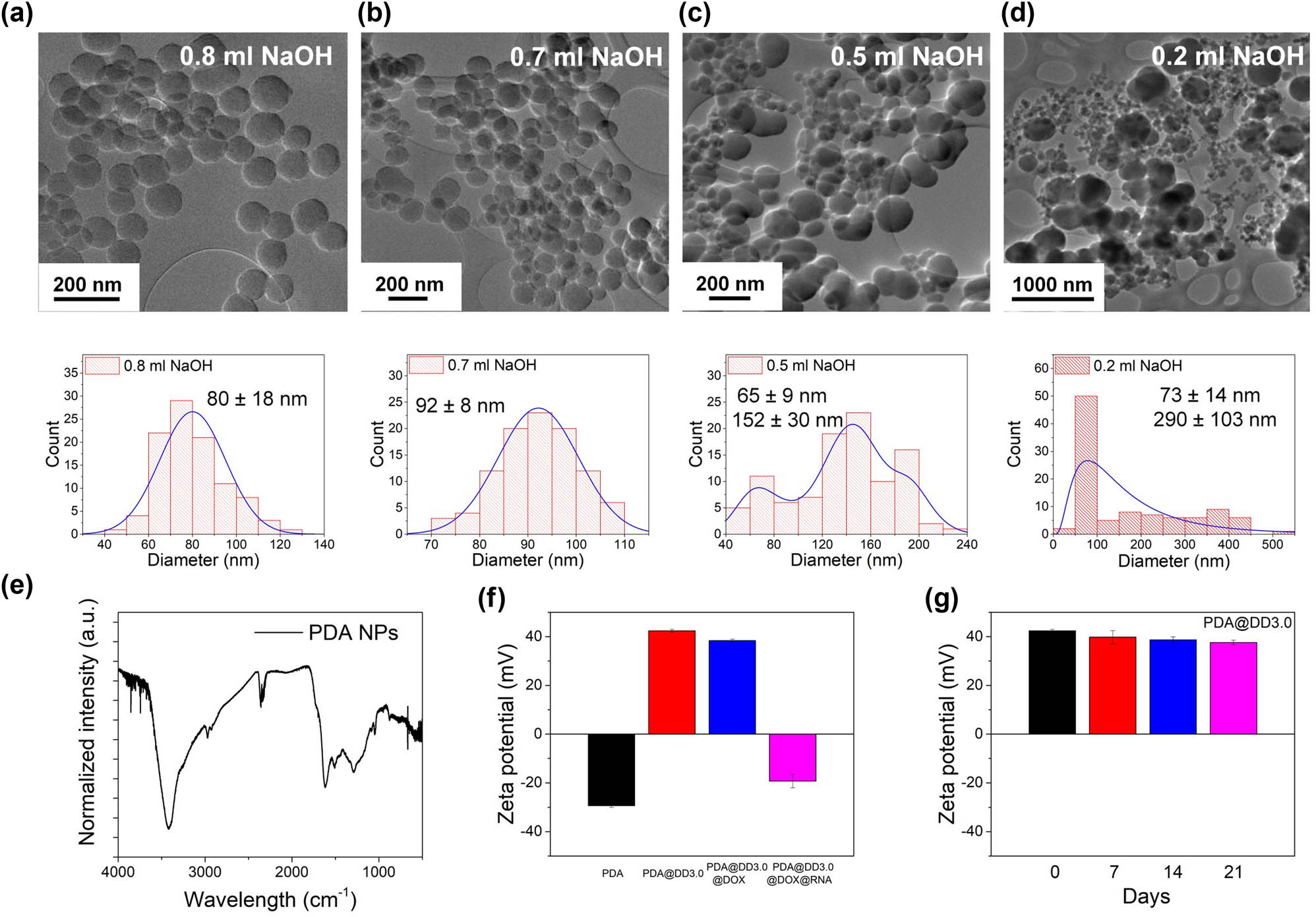 Figure 2 
                  TEM images and histograms of PDA particles after synthesis with the addition of (a) 0.8 mL, (b) 0.7 mL, (c) 0.5 mL and (d) 0.2 mL NaOH; (e) FT-IR spectrum of PDA particles; (f) zeta potential value of PDA particles before and after functionalization with PAMAM dendrimers and loaded with DOX and RNA; and (g) stability of PDA@DD3.0 in time.
               