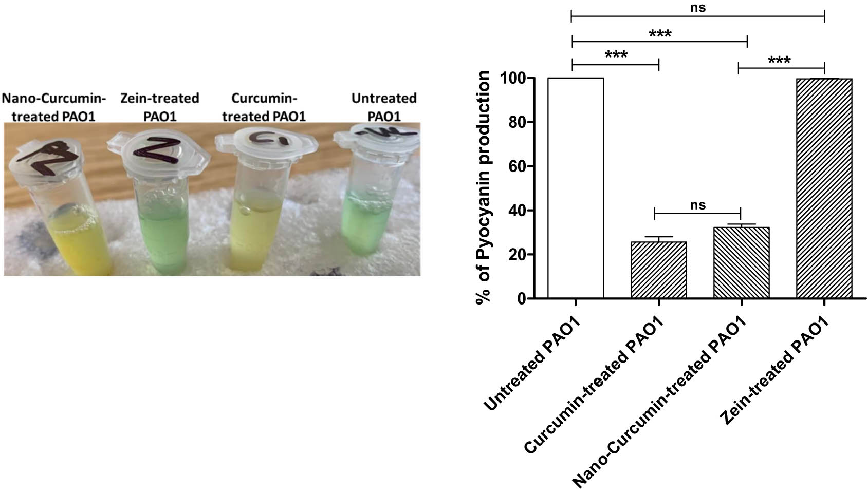 Figure 6 
                  Curcumin decreased pyocyanin production. The absorbances of the pyocyanin pigment were measured in the presence of curcumin alone, curcumin nanoformulated, or zein at sub-MICs in comparison to untreated bacteria. The curcumin alone or curcumin nanoformulated significantly decreased the production of pyocyanin as compared to untreated or zein-treated bacteria. There was no significant difference between curcumin alone or curcumin nanoformulated on the pyocyanin production. ns: p > 0.05; ***p < 0.001.
               