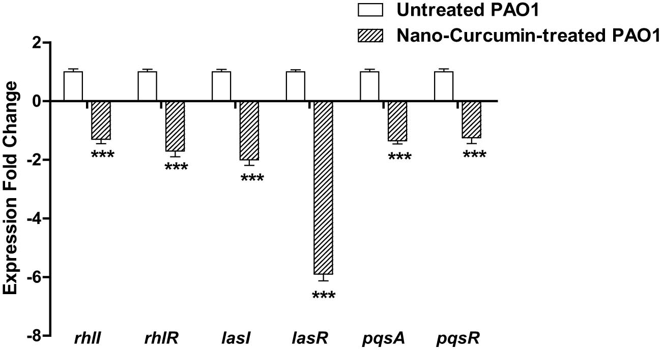 Figure 7 
                     Curcumin downregulated the expression of QS-encoding genes. RT-PCR was employed to quantify the expression of genes that encode QS receptors and inducer synthetases in the presence or absence of curcumin nanoformulation at sub-MIC. Curcumin in nanoformula significantly downregulated the expression of all the QS-controlling genes. ***: p < 0.001.
                  