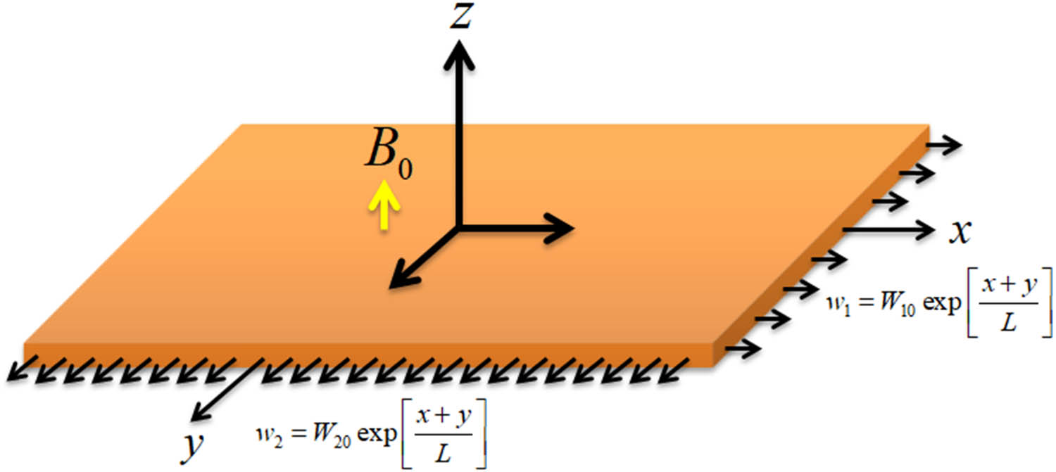 Figure 1 
               Geometrical view of flow problem.
            
