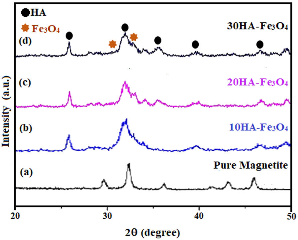Figure 3
XRD pattern of HA-Fe3O4 nanocomposites: (a) Pure magnetite, (b) 10HA-Fe3O4, (c) 20HA-Fe3O4, and (d) 30HA-Fe3O4, prepared at pH 11 in 5 min in CMFS.