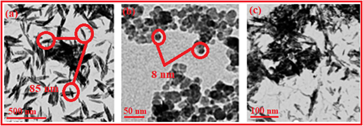 Figure 4
TEM images of (a) pure HA, (b) pure magnetite, and (c) HA-Fe3O4 nanocomposites.