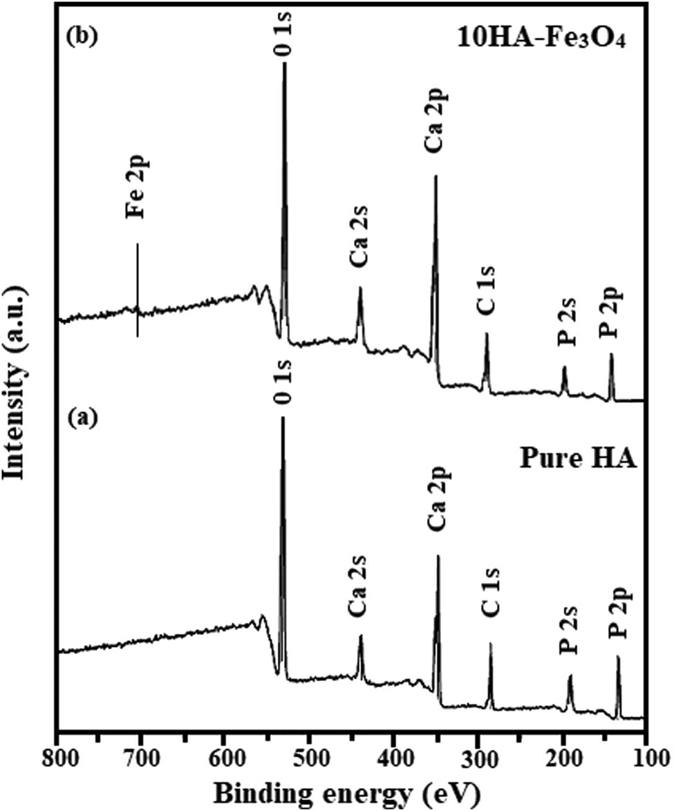 Figure 5
The XPS survey spectrum of (a) Pure HA and (b) 10HA-Fe3O4 nanocomposite.
