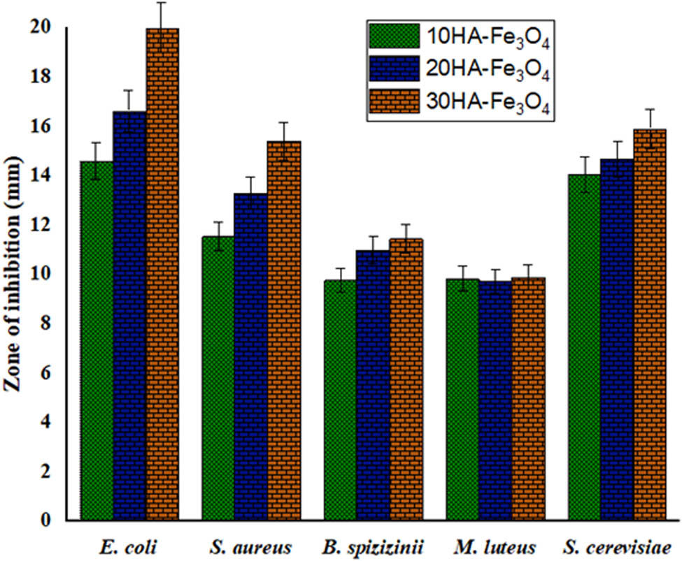 Figure 7
Antimicrobial activity of various concentrations of HA-Fe3O4.