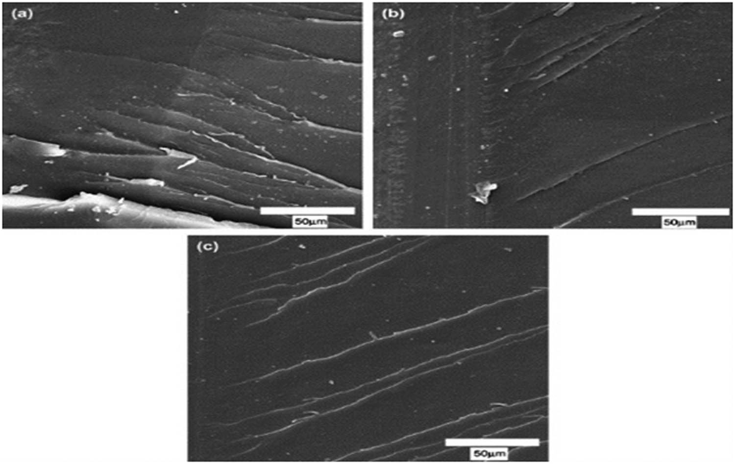 Figure 4 
                  SEM images of crack pinning in epoxy resin (a) without nano-silica, (b) with 2.5 vol% nano-silica, and (c) with 13.4 vol% nano-silica [64].
               
