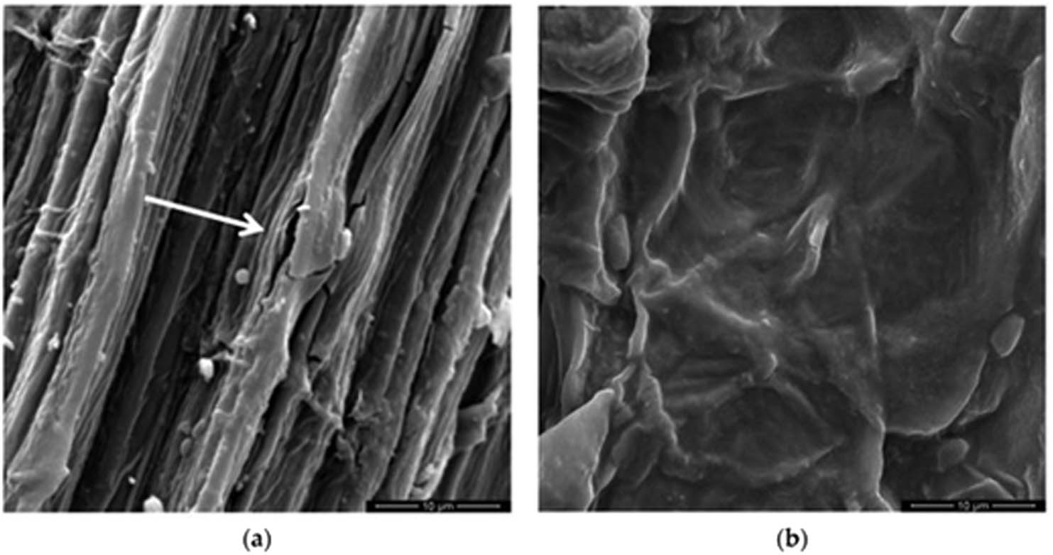 Figure 12 
                  SEM images of the surface of the fibres: (a) CFs and (b) graphene oxide-coated CFs [96].
               