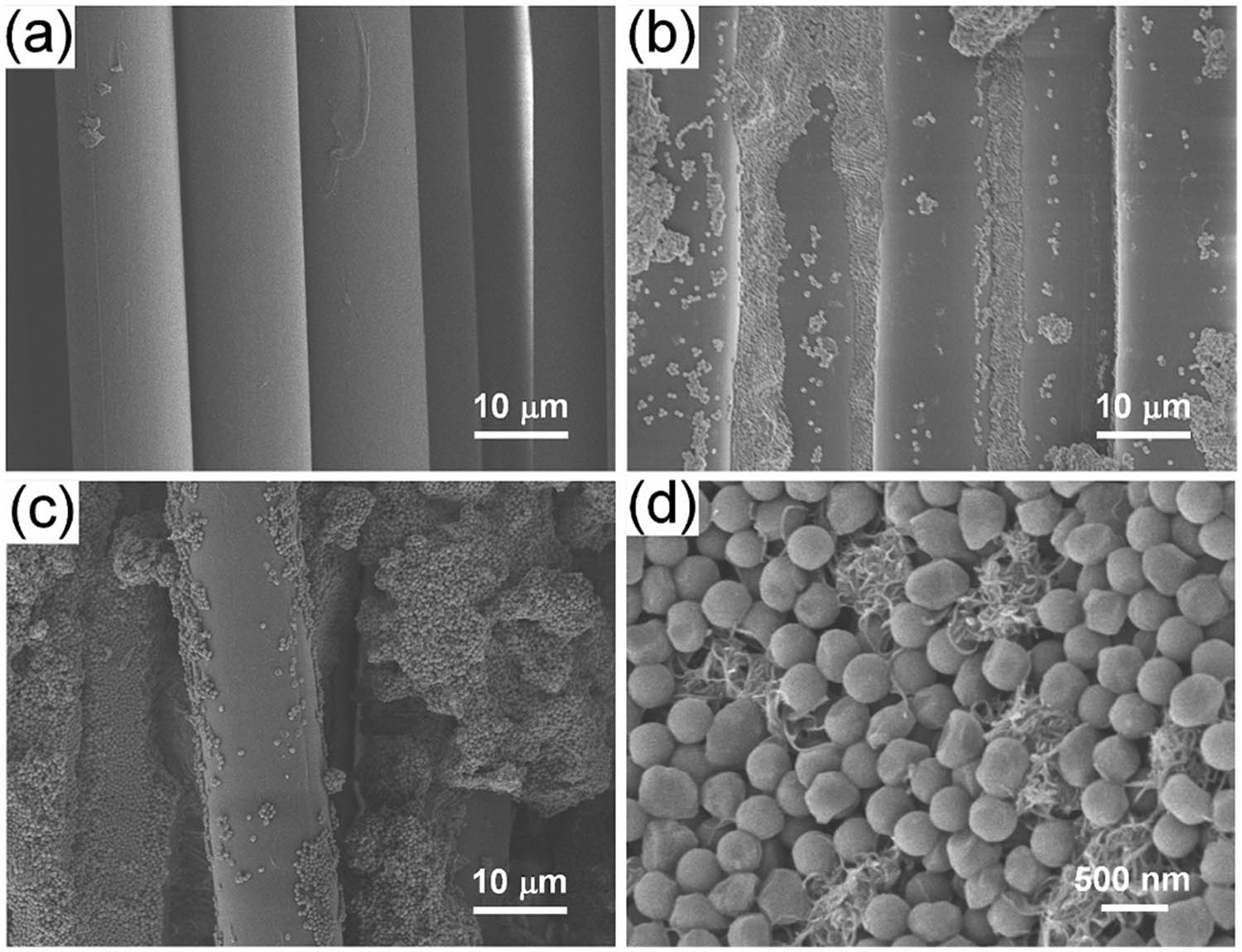 Figure 14 
                  SEM images of (a) neat Kevlar, (b) Kevlar/STF, (c) Kevlar/STF/CNT, and (d) deposition patterns of PSt-EA and CNT nanoparticles [22].
               