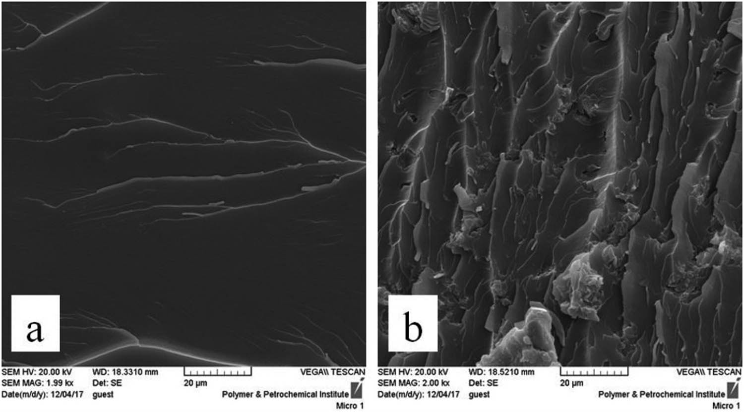 Figure 15 
                  SEM images of the composite (a) without nano-clay and (b) with nano-clays (1.5 wt%) [113].
               
