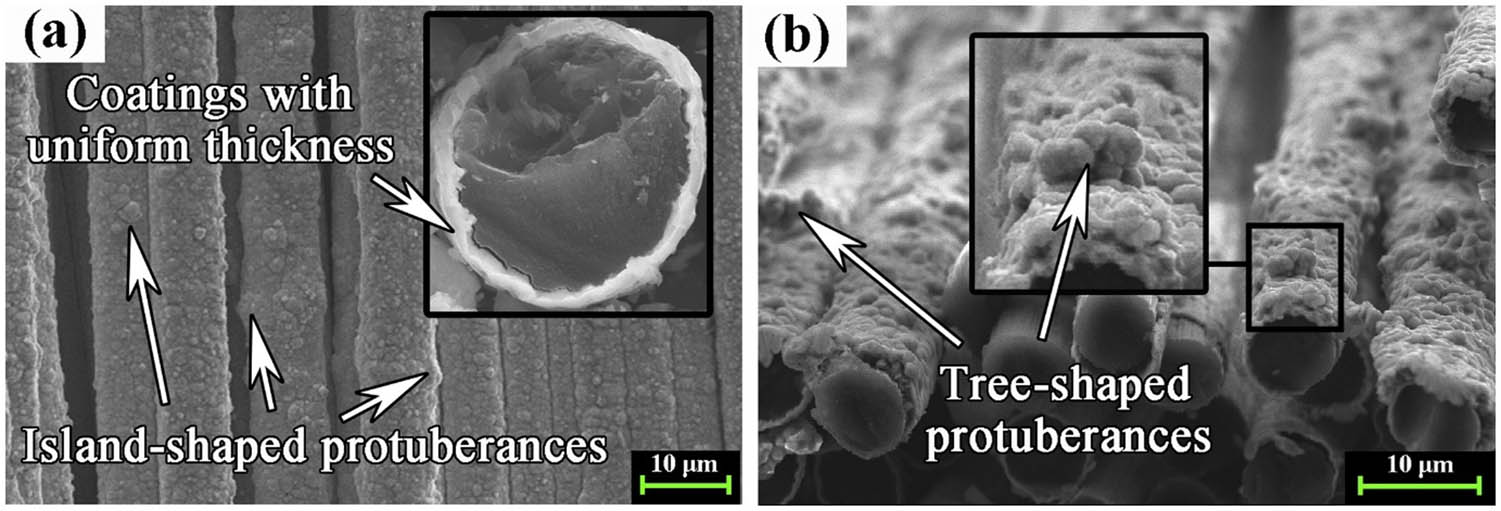 Figure 27 
                  SEM images of electroless NiP-coated carbon fibres [149]. (a) Island-shaped protuberance and (b) Tree-shaped protuberance.
               