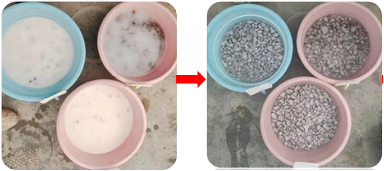 Figure 1 
                  Aggregate modification process.
               