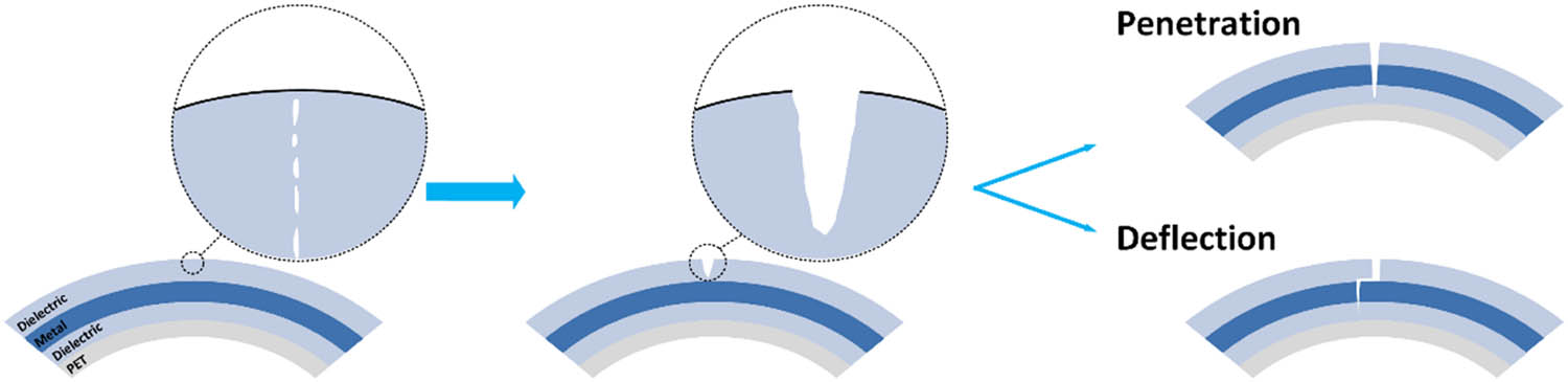 Figure 6 
               Development of cracks during bending of multilayer DMD films.
            