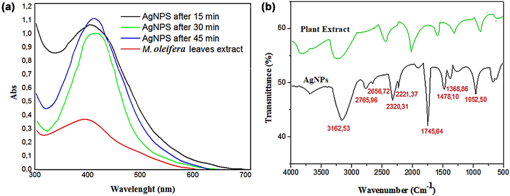 Figure 1 
                  (a) UV-Vis spectra showing the absorbance peak of green synthesized AgNPs using M. oleifera leaf extract after 15, 30, and 45 min of preparation. (b) FT-IR spectra of the plant extract (green line) and synthesized AgNPs (red line). FT-IR: Fourier transform infrared spectroscopy; AgNPs: silver nanoparticles; M. oleifera: Moringa oleifera.
               