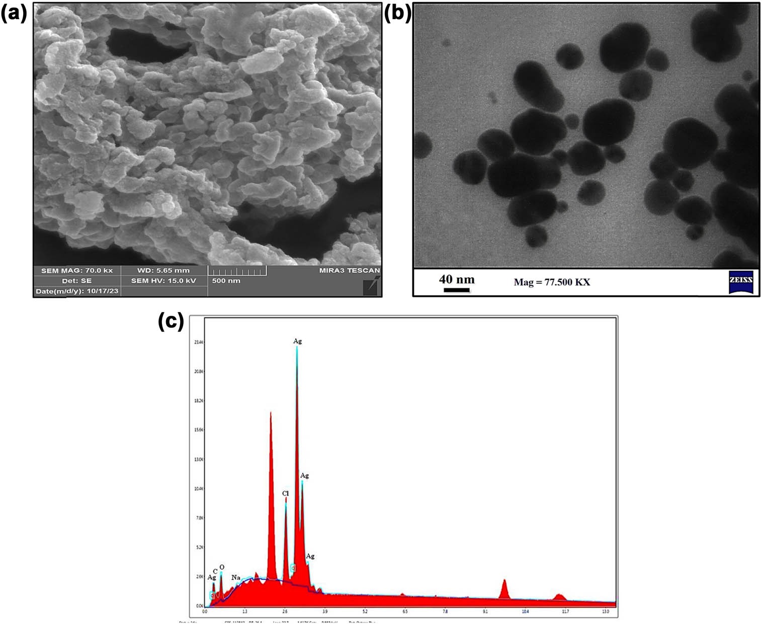 Figure 4 
                  (a) FE-SEM micrographs; scale bar, 500 nm. (b) TEM micrographs; scale bar, 40 nm. (c) EDX spectrum showing the elemental composition of green synthesized MOL-AgNPs. FE-SEM: field emission scanning electron microscopy, TEM: transmission scanning electron microscopy; MOL-AgNPs: Moringa oleifera-silver nanoparticles.
               