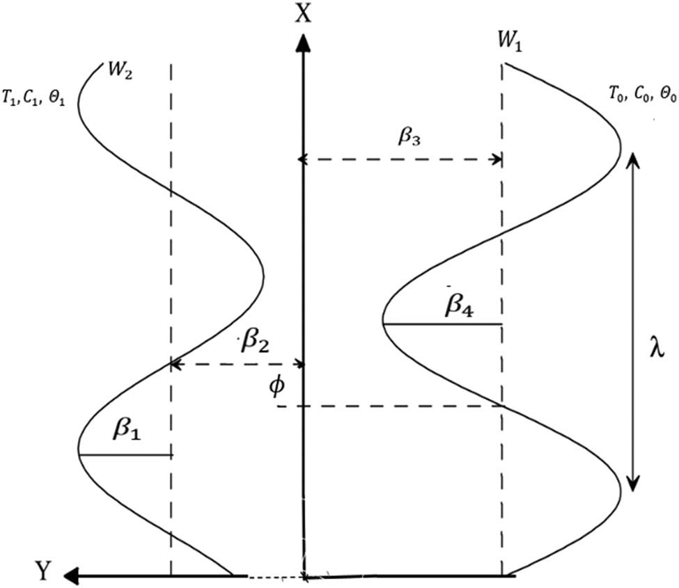Figure 1 
               Geometry of the problem.
            