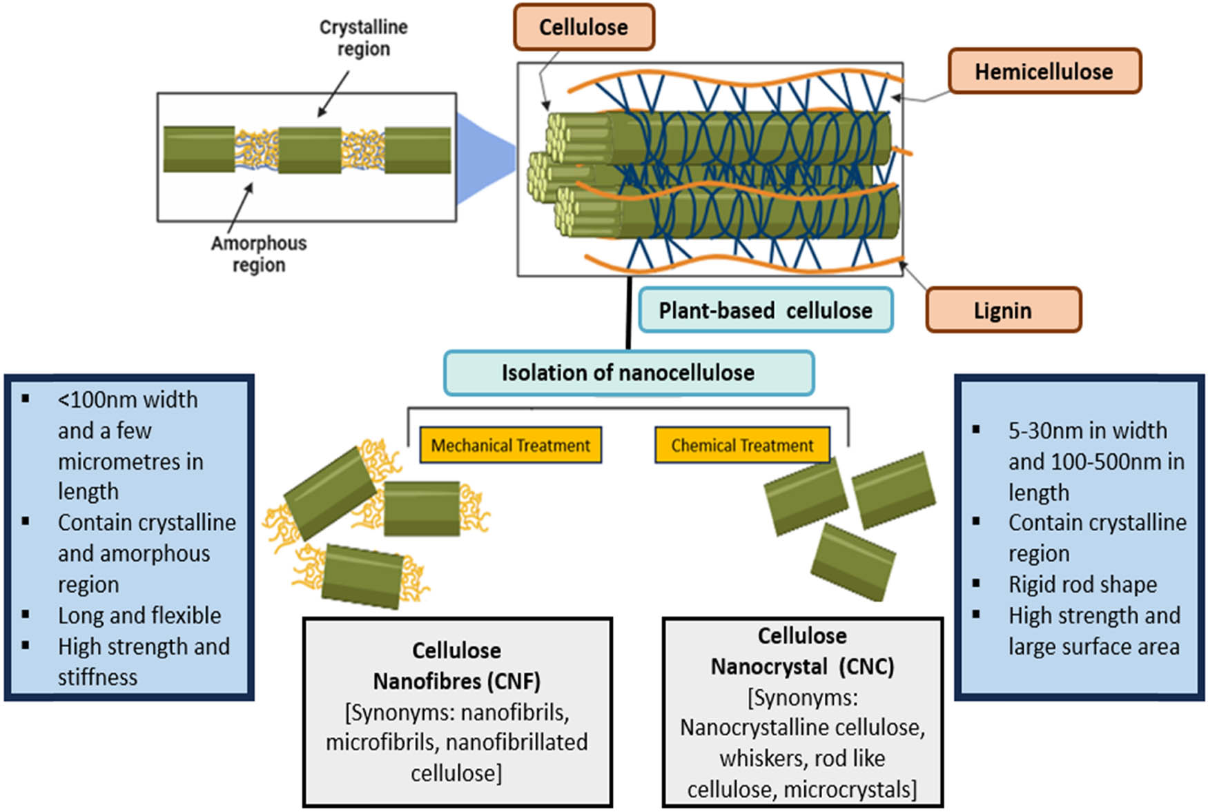 Figure 2
The isolation of nanocellulose through two distinct treatments leads to the synthesis of varying properties in nanocellulose.