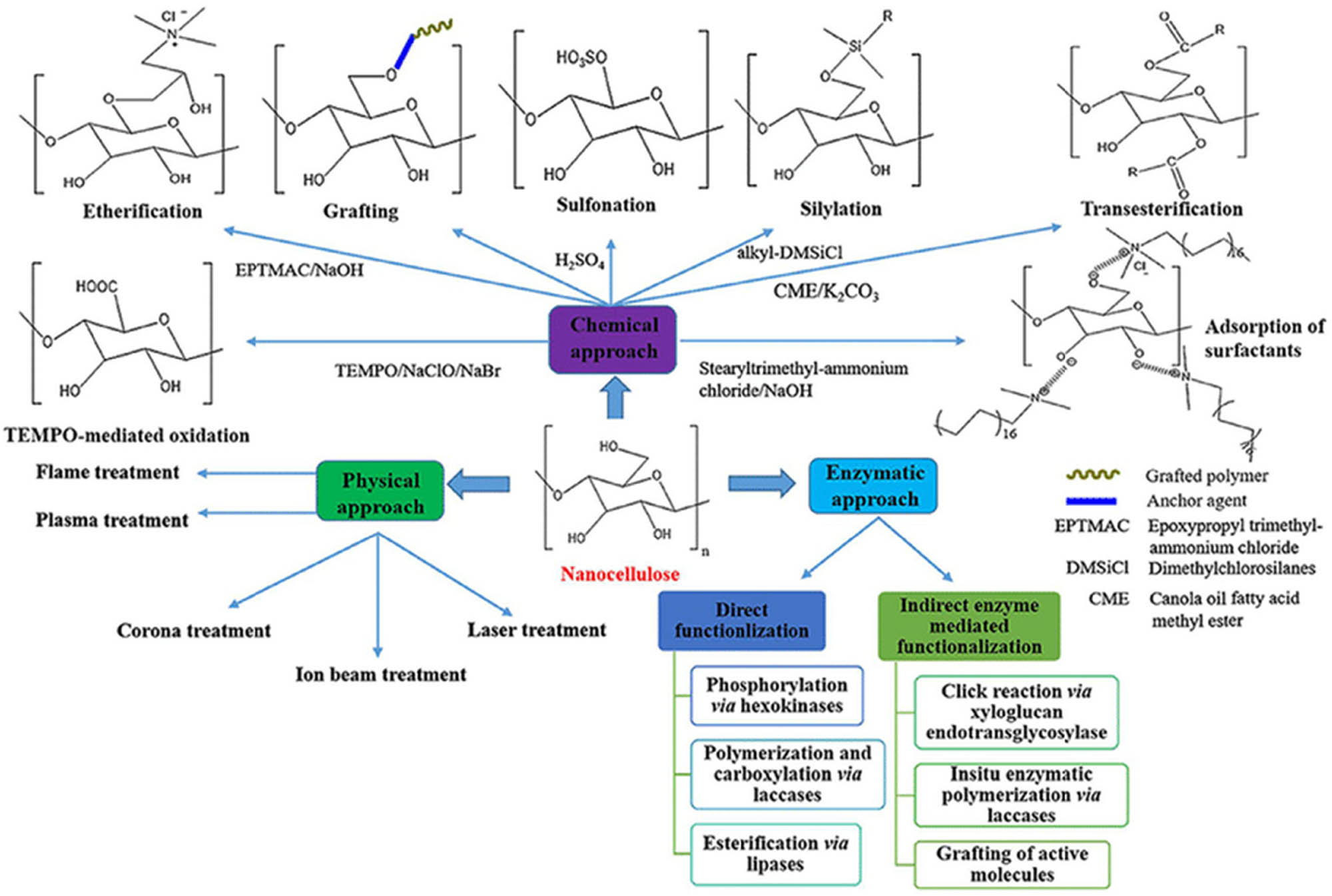 Figure 3 
               Illustrates three methods for nanocellulose modification: chemical, physical, and enzymatic approaches. Reproduced from Ref. [9].
            