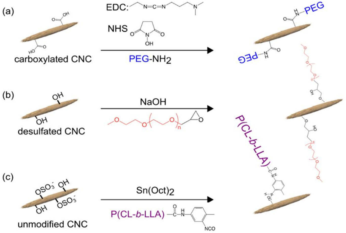 Figure 5 
               The example of "grafting to" grafting nanocellulose: (a) carbodiimide coupling to attach amine-terminated poly(ethylene glycol) (PEG-NH2) to carboxylated nanocellulose, (b) epoxy ring opening in basic conditions to attach epoxy-terminated poly(ethylene oxide) to desulfated nanocellulose, and (c) isocyanate-mediated. Reproduced from Ref. [37].
            