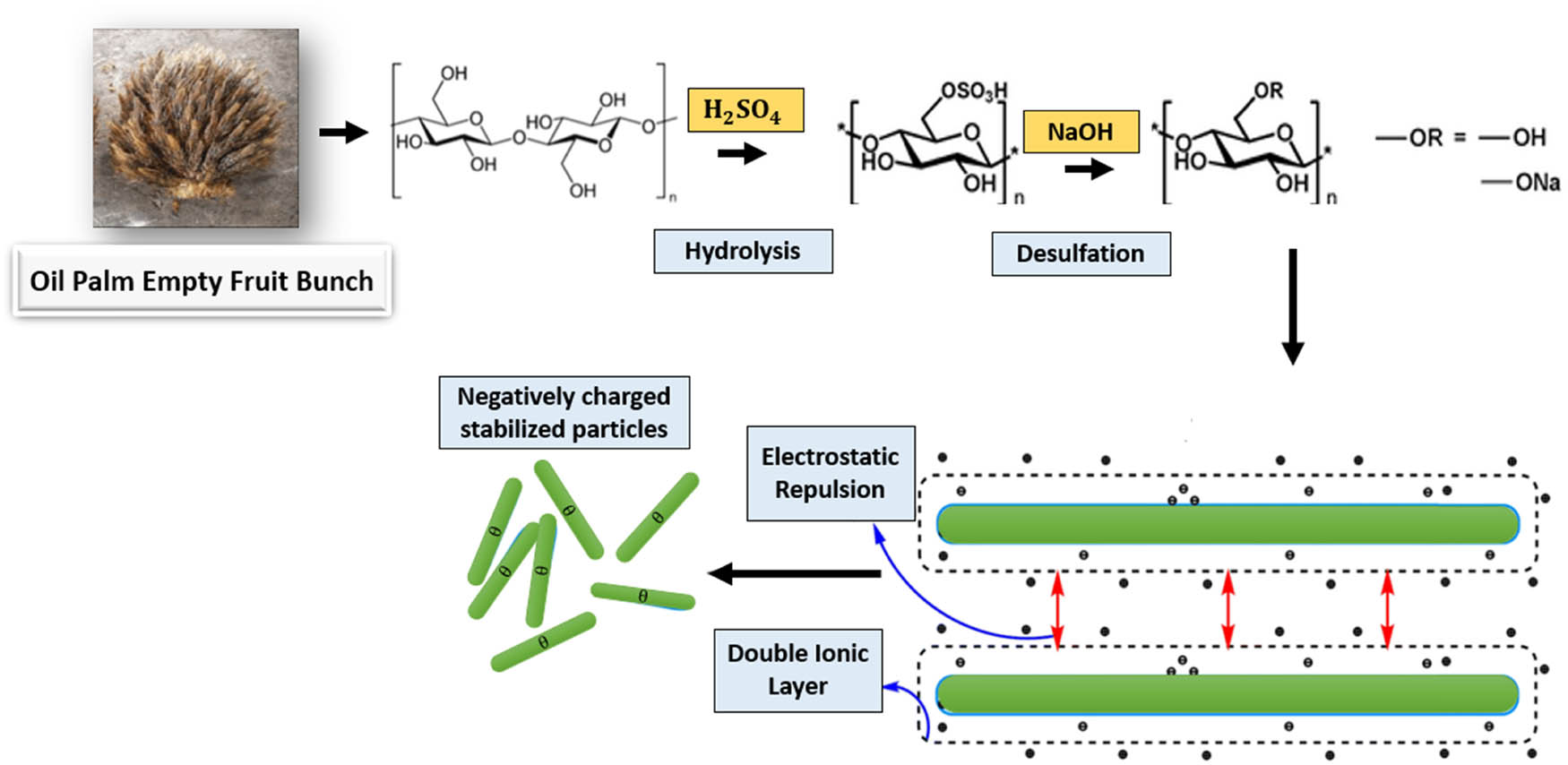 Figure 12
The effect of neutralization of sulfonated nanocellulose using NaOH.