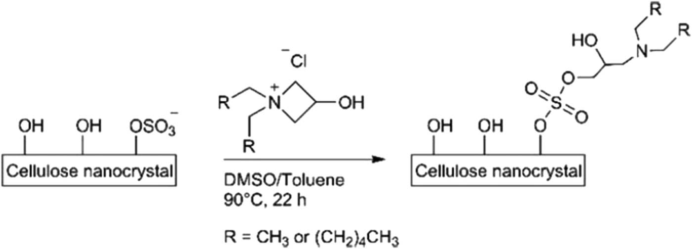 Figure 13 
                  The reaction of N,N-dialkylazetidinium salts with sulfonated nanocellulose. Reproduced from ref. [55].
               