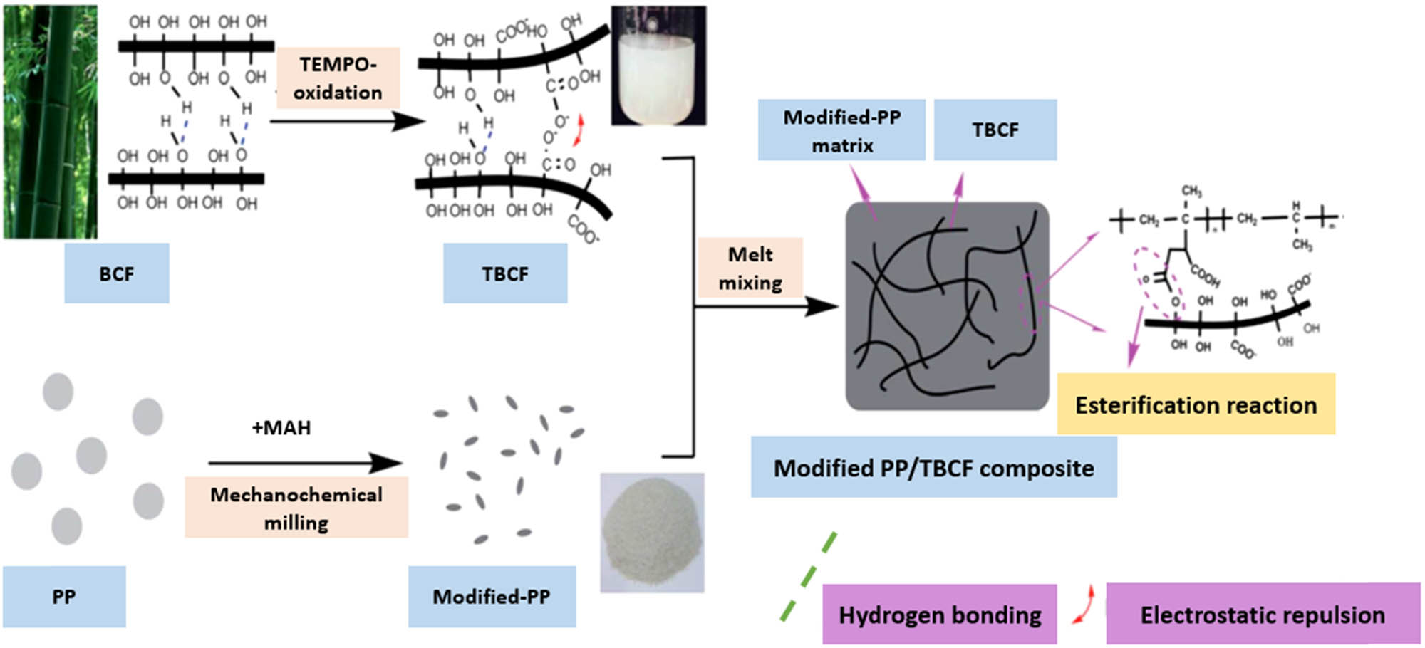 Figure 22 
                  The nanocomposite incorporates a combination of modified PP and TBCF. Reproduced from Ref. [95].
               