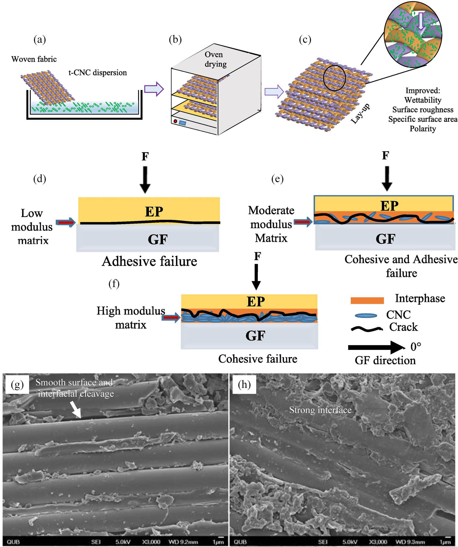 Figure 6 
                  Reinforcement mechanism of hybrid fiber-cellulose composites: (a)–(c) the preparation process of CNCs/GF/EP composites; (d)–(f) CNCs enhancement mechanisms in fracture failure; (g) and (h) SEM images of the GF/EP composites and CNCs/GF/EP composites. Reproduced with permission from ref. [95].
               