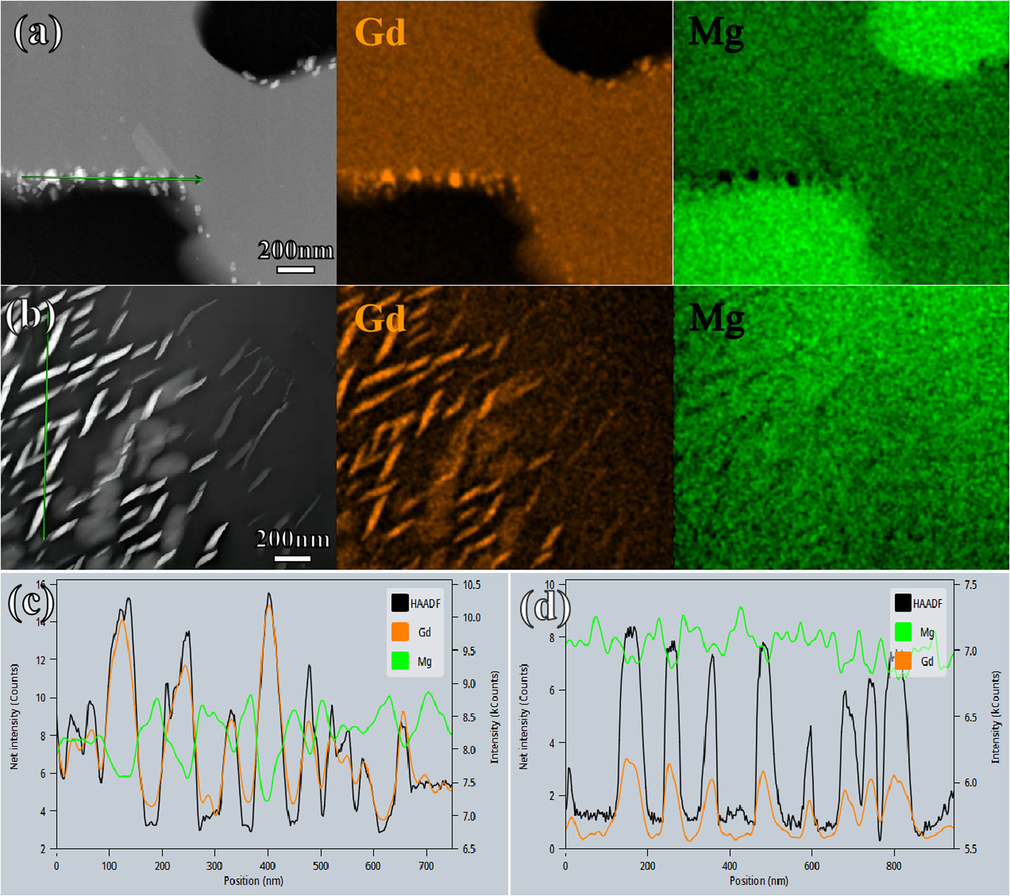Figure 5 
                  (a) Granular Gd-rich phase precipitated in the second phase. (b) Leaf-like Gd-rich phase precipitated in the matrix. EDS line scan of the (c) granular and (d) leaf-like phases.
               